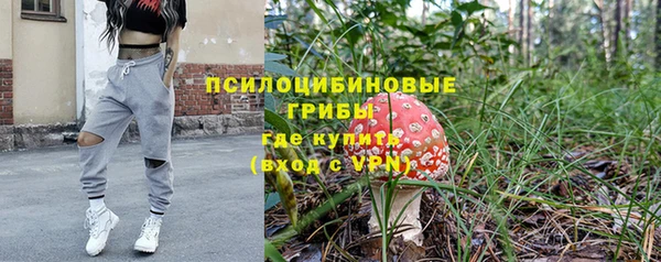 первитин Белокуриха