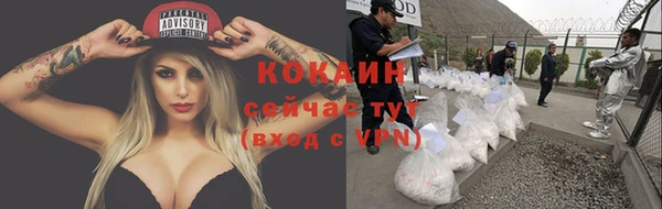 шишки Белоозёрский