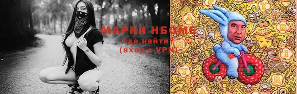 шишки Белоозёрский