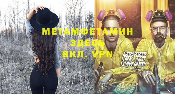 шишки Белоозёрский