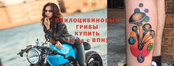 шишки Белоозёрский