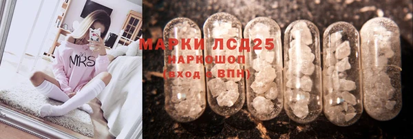 шишки Белоозёрский
