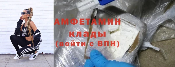 шишки Белоозёрский